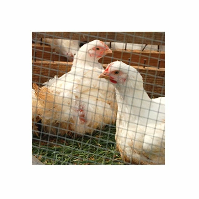 IronRidge 24" x 25' Welded Wire Fence with 1" x 2 Openings - 432425 - Fence and Wire 7 IronRidge 24" x 25' Welded Wire Fence with 1" x 2 Openings - 432425 - Fence and Wire - Image 5