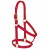 Weaver Leather Basic Non - Adjustable Nylon Halter - Red - 1 Inch Small Horse - 35-7404-RD - Nylon Halters