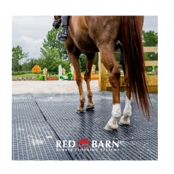 Red Barn 4' x 6' Rubber Horse Mat 3/4" Thick - HORSEMAT - Livestock Supplies 15 Red Barn 4' x 6' Rubber Horse Mat 3/4" Thick - HORSEMAT - Livestock Supplies -Livestock Online Store 81e5db54f6d76bfaf3bccaf0e384f92cbafe4d23 50500013 3
