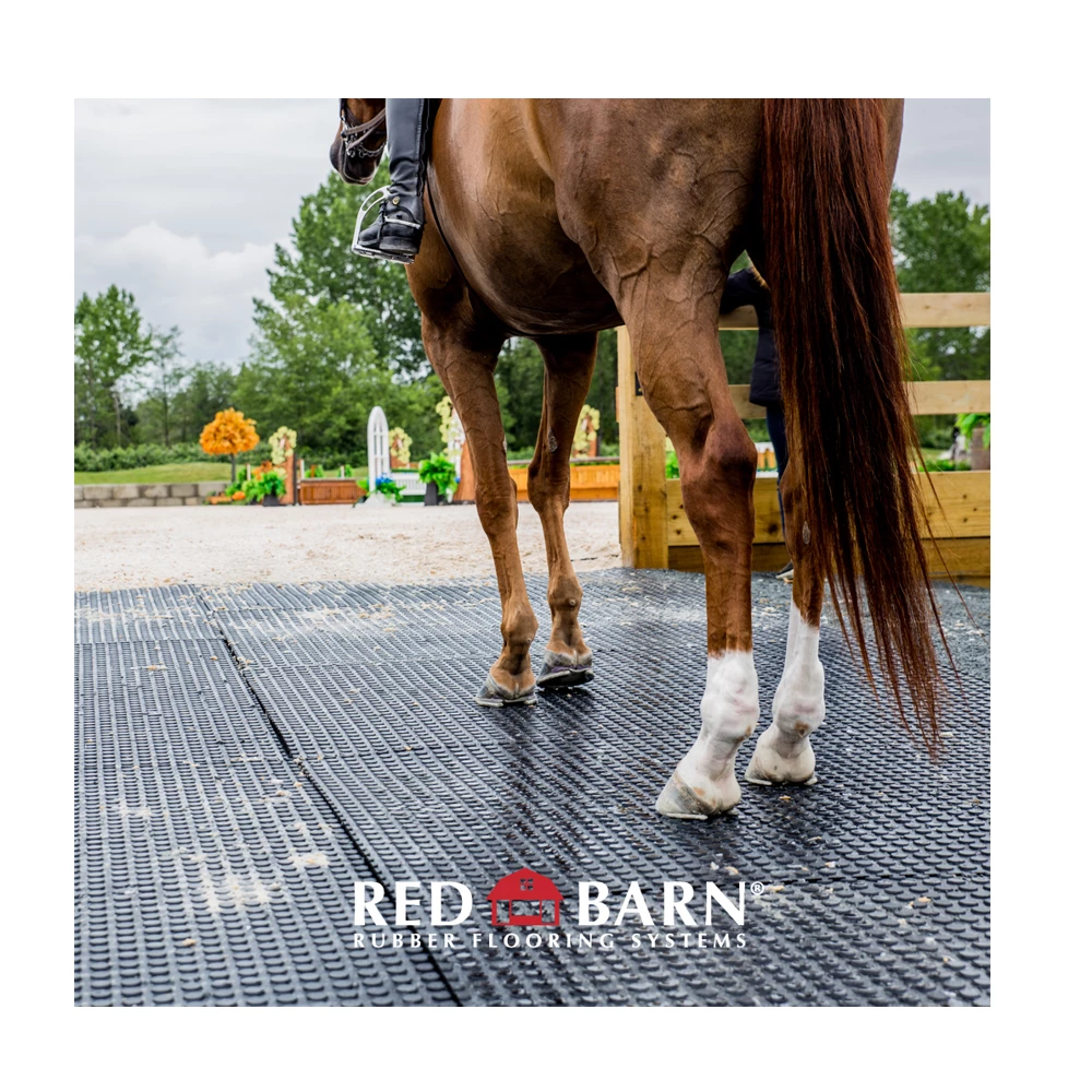 Red Barn 4' x 6' Rubber Horse Mat 3/4" Thick - HORSEMAT - Livestock Supplies 6 Red Barn 4' x 6' Rubber Horse Mat 3/4" Thick - HORSEMAT - Livestock Supplies - Image 4
