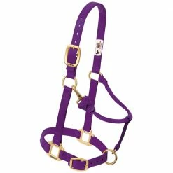 Weaver Leather Original Adjustable Nylon Horse Halter - Purple - 1 Inch Small - 35-7034-PU - Nylon Halters