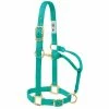 Weaver Leather Original Adjustable Nylon Horse Halter - Emerald Green - 1 Inch Average - 35-7035-EG - Nylon Halters 1 Weaver Leather Original Adjustable Nylon Horse Halter - Emerald Green - 1 Inch Average - 35-7035-EG - Nylon Halters -Livestock Online Store 82cda904206431271ca4dbab2f75112d24e6afaf 675200029 675200029 image 35 7035 eg