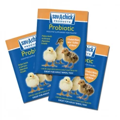 Sav-A-Chick Probiotic Digestive Support Poultry Supplement, 3 Count Pack - Chicken Health