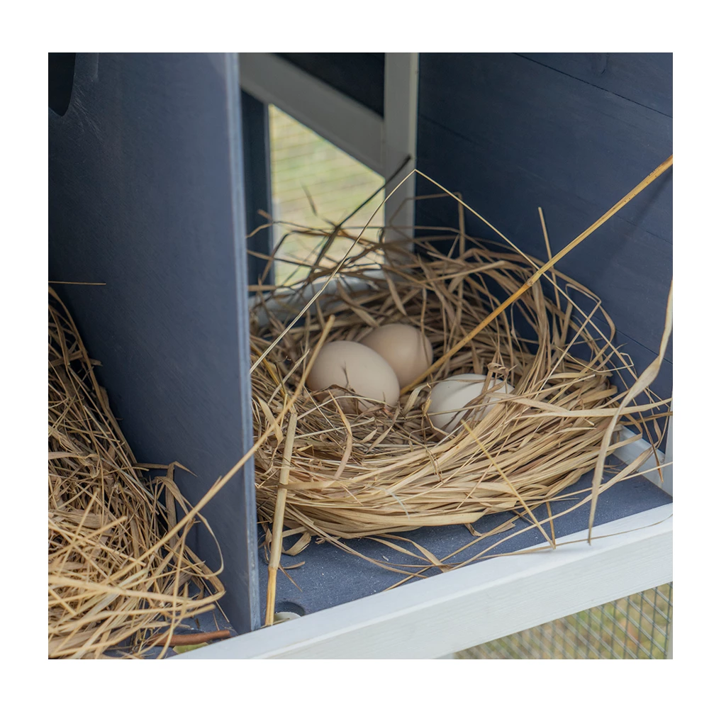Country Road Chicken Coop with Outdoor Run - SHWA011010Y1 - Chicken Coops 14 Country Road Chicken Coop with Outdoor Run - SHWA011010Y1 - Chicken Coops - Image 12