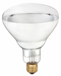 Various Brands Brooder 250 Watt Heat Lamp Bulb - 2 Pack - Livestock Supplies -Livestock Online Store 8621c4f36e7ee5a083b59b7792d03561b86ebe1b 03977