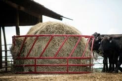 Tarter 2 Piece Slant Bar Hay Feeder - SBF2 - Horse Stalls 9 Tarter 2 Piece Slant Bar Hay Feeder - SBF2 - Horse Stalls -Livestock Online Store 86794ecd41c7623beb15c6699a4367bcda9186ea SBF2 RKSteelcorCattleHayFeeder L 07