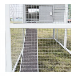 Country Road Barn Ranch Chicken Coop PVC Roof - SHW1099040AW - Chicken Coops -Livestock Online Store 86b56eea476b36b45546daae022a35b7845cbd32 41220018 8