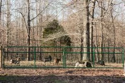 Tarter 4' Galvanized Wire Filled Tube Gate - WG4 - Gates & Corrals -Livestock Online Store 8d4e9e7f091af2ec006a329ac66dbc4b4398794e WFGG WatchmanWireMeshGate LS 02 11