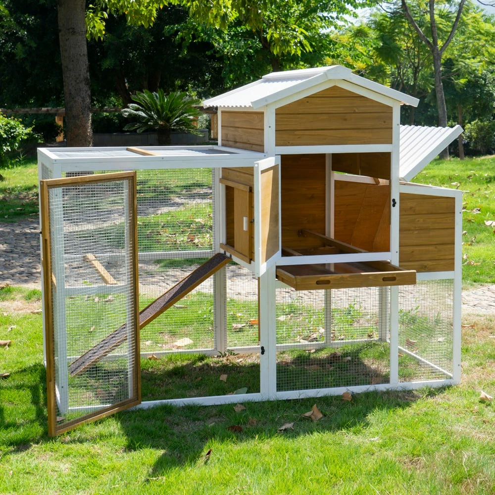 Country Road Barn Ranch Chicken Coop PVC Roof - SHW10993 - Chicken Coops 8 Country Road Barn Ranch Chicken Coop PVC Roof - SHW10993 - Chicken Coops - Image 6