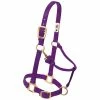 Weaver Leather Original Adjustable Nylon Horse Halter - Purple - 1 Inch Large - 35-7036-PU - Nylon Halters 2 Weaver Leather Original Adjustable Nylon Horse Halter - Purple - 1 Inch Large - 35-7036-PU - Nylon Halters -Livestock Online Store 981b07c90433ee4aa3f33a8f8e352ada225e42c7 67504497 67504497 image 35 7036 pu