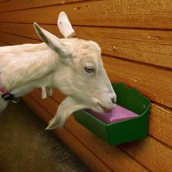 Little Giant Salt Block Holder, 1 Quart - SBP3 - Livestock Supplies 7 Little Giant Salt Block Holder, 1 Quart - SBP3 - Livestock Supplies -Livestock Online Store 9a09dd1cd171d25dee05b62ccdb571184a126395 69480140 3