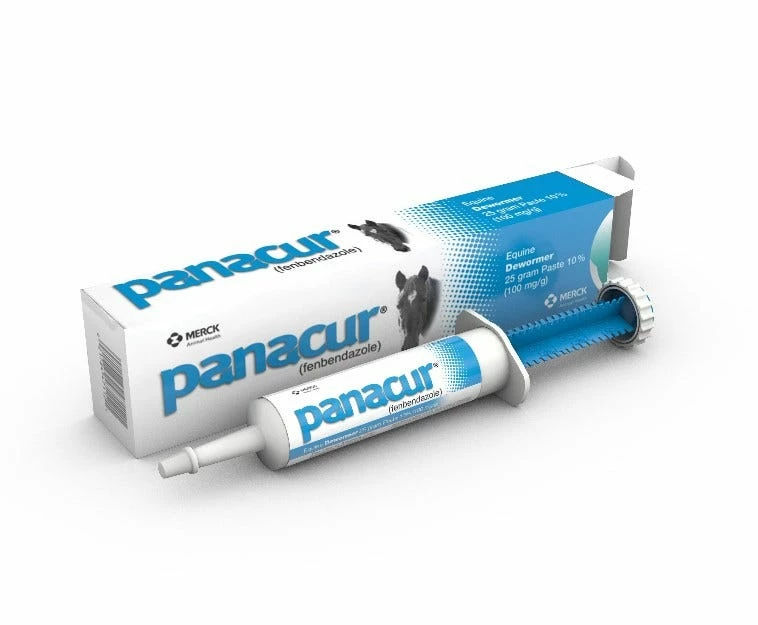 Merck Panacur® Equine Dewormer Paste, 25 gm - 001013 - Dewormers 3 Merck Panacur® Equine Dewormer Paste, 25 gm - 001013 - Dewormers
