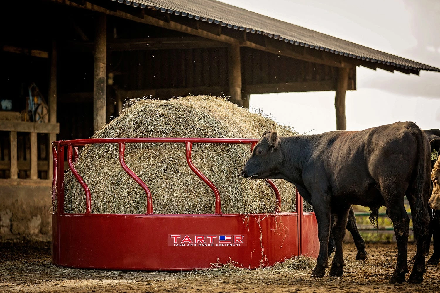Tarter 3-Piece Metal Hay Feeder, Red - RFM - Cattle Feeders 4 Tarter 3-Piece Metal Hay Feeder, Red - RFM - Cattle Feeders - Image 2