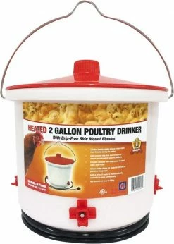 Farm Innovators Heated 2 Gallon Poultry Drinker HB-60P - Livestock Supplies