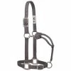 Weaver Leather Original Adjustable Nylon Halter with Chrome Plated Hardware - Medium - Graphite - 35-7375-GH - Nylon Halters 2 Weaver Leather Original Adjustable Nylon Halter with Chrome Plated Hardware - Medium - Graphite - 35-7375-GH - Nylon Halters -Livestock Online Store a13d57f068699118d4dd5fc0f1bde3b80fa6d1de 675200011 675200011 image 35 7375 gh