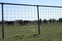 Oklahoma Steel Stockade Cattle Panel - 94913 - Cattle Equipment 9 Oklahoma Steel Stockade Cattle Panel - 94913 - Cattle Equipment -Livestock Online Store a679ee01b343ec26e16c8c736cbb529b4fadbd47 6390028