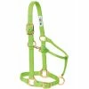 Weaver Leather Original Adjustable Nylon Horse Halter - Lime Zest - 1 Inch Large - 35-7036-LI - Nylon Halters