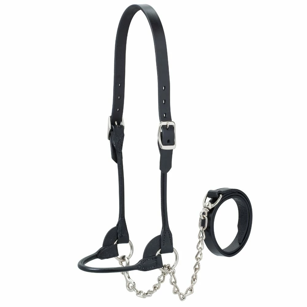 Weaver Leather Livestock Dairy/Beef Rounded Show Halter - Black - Medium - 90-0510 - Cow Halters, Leads, & Barn Supplies 4 Weaver Leather Livestock Dairy/Beef Rounded Show Halter - Black - Medium - 90-0510 - Cow Halters, Leads, & Barn Supplies - Image 2