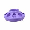 Country Road Plastic Screw-On Poultry Feeder Base, Purple, 1 qt. - Chicken Feeders 1 Country Road Plastic Screw-On Poultry Feeder Base, Purple, 1 qt. - Chicken Feeders -Livestock Online Store a9103a6b67dc8a2685678c06b057489e8781bced 41220026 66628 2
