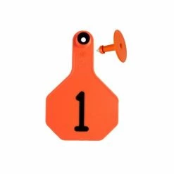 Y-Tex Orange All American 3* Cmb Nrd 001/025 -7702001 - Livestock Supplies