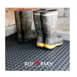 Red Barn 4' x 6' Rubber Horse Mat 3/4" Thick - HORSEMAT - Livestock Supplies 19 Red Barn 4' x 6' Rubber Horse Mat 3/4" Thick - HORSEMAT - Livestock Supplies -Livestock Online Store aa6fef05c7b46e36a271fb54eb1da5b6c108c7d9 50500013 7