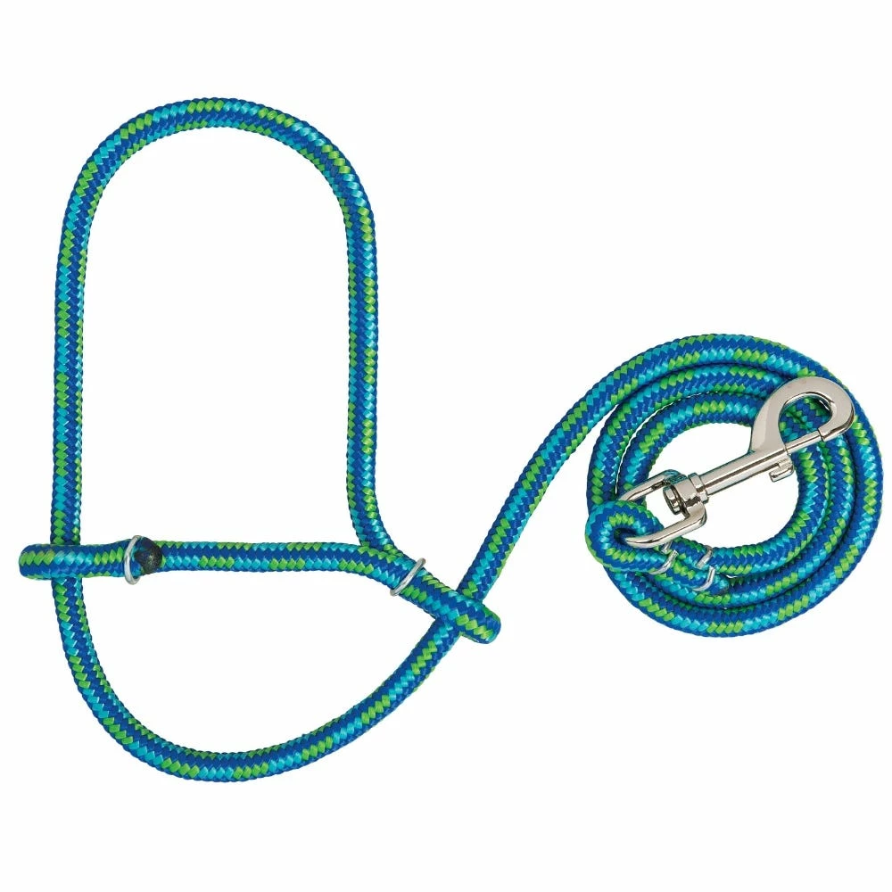 Weaver Leather Livestock Poly Rope Sheep Halter with Snap - Lime/Hurricane Blue/Royal Blue - 35-7845-K32 - Sheep Halters & Accessories 4 Weaver Leather Livestock Poly Rope Sheep Halter with Snap - Lime/Hurricane Blue/Royal Blue - 35-7845-K32 - Sheep Halters & Accessories - Image 2