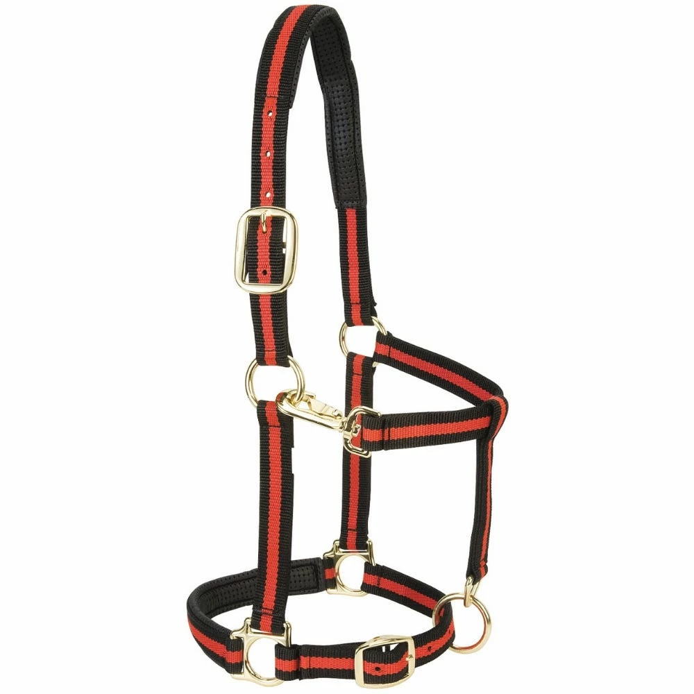 Weaver Leather Padded Adjustable Chin and Throat Snap Halter - Red - 1 Inch - 35-7735-RD - Nylon Halters 4 Weaver Leather Padded Adjustable Chin and Throat Snap Halter - Red - 1 Inch - 35-7735-RD - Nylon Halters - Image 2
