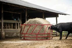 Tarter 2 Piece Slant Bar Hay Feeder - SBF2 - Horse Stalls 8 Tarter 2 Piece Slant Bar Hay Feeder - SBF2 - Horse Stalls -Livestock Online Store aea3cfcfa6947fd6195afb49561c189668a98bb8 SBF2 RKSteelcorCattleHayFeeder L 01