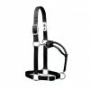 Weaver Leather Original Adjustable Nylon Halter with Chrome Plated Hardware, Medium, Black 35-7375-BK - Horse Equipment 2 Weaver Leather Original Adjustable Nylon Halter with Chrome Plated Hardware, Medium, Black 35-7375-BK - Horse Equipment -Livestock Online Store b6be1344bfed0129dbc5a8f6a710b8e52bc6b96d 67517375