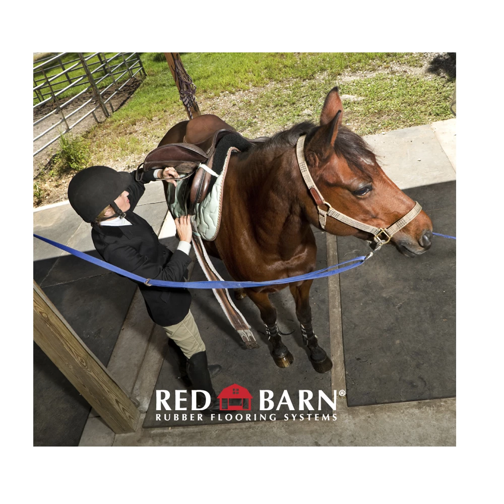 Red Barn 4' x 6' Rubber Horse Mat 3/4" Thick - HORSEMAT - Livestock Supplies 12 Red Barn 4' x 6' Rubber Horse Mat 3/4" Thick - HORSEMAT - Livestock Supplies - Image 10