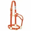 Weaver Leather Original Adjustable Nylon Horse Halter - Orange - 1 Inch Average - 35-7035-OR - Nylon Halters 2 Weaver Leather Original Adjustable Nylon Horse Halter - Orange - 1 Inch Average - 35-7035-OR - Nylon Halters -Livestock Online Store bb8ddb96ccfb2f21e37728bd8fa8ceb96be12e7d 675200030 675200030 image 35 7035 or