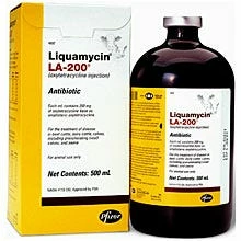 Various Brands Liquamycin LA-200 Antibiotic 250 Ml - Cattle Vaccines