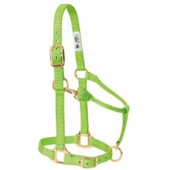 Weaver Leather Original Adjustable Nylon Horse Halter - Weanling/Pony - Lime Zest - 35-1032-LI - Nylon Halters