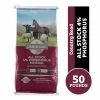 Country Road All Stock 4% Phosphorus Mineral - 92888_RC