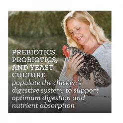 Nutrena NatureWise® Hearty Hen 18% Protein Pellet Feed, 40 lb. Bag - Chicken Feed 11 Nutrena NatureWise® Hearty Hen 18% Protein Pellet Feed, 40 lb. Bag - Chicken Feed -Livestock Online Store c8bba7dacd29a4788ab68f8a80480f1cd468be00 4679080 4