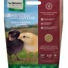 Nutrena NatureWise® Chick Starter Grower 18% Protein Crumble, 7 lb. Bag - Chicken Feed 1 Nutrena NatureWise® Chick Starter Grower 18% Protein Crumble, 7 lb. Bag - Chicken Feed -Livestock Online Store ca0ec75ce89ee014ddbc8004e446ec7a7124b85c 4670292 NatureWise Chick Starter 7lb