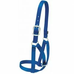 Weaver Leather Livestock Barn Cow Halter - Blue - 1 Inch Medium - 35-8004-BL - Cow Halters, Leads, & Barn Supplies
