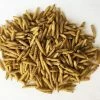 Various Brands Dried Soldier Fly Larvae, 10 oz - DFF10OZ - Supplements 1 Various Brands Dried Soldier Fly Larvae, 10 oz - DFF10OZ - Supplements -Livestock Online Store da7f701d582708900ccd19a40a0cbea024bd0223 41610002 41610002 image 41610002