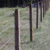 Robins MFG Robins Manufacturing FP25 Post - FP25W40 - Fence Posts