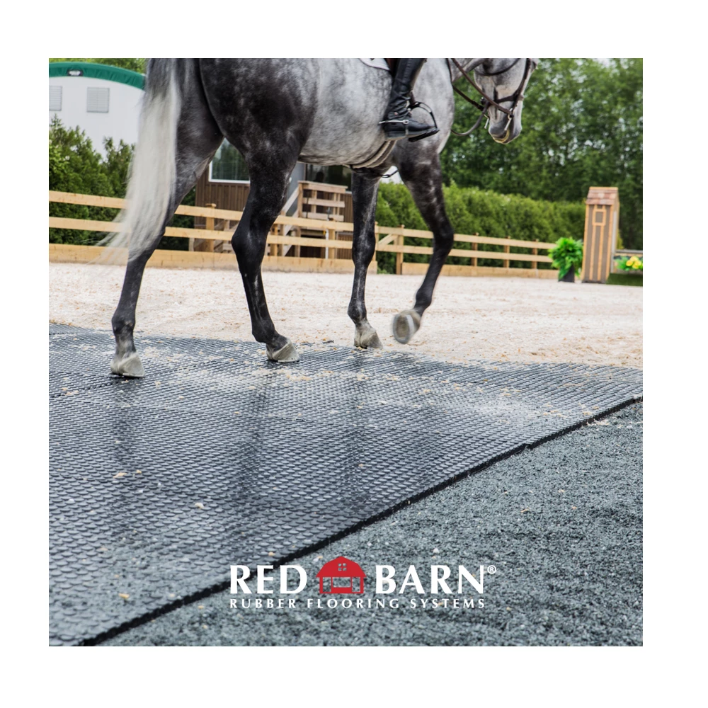 Red Barn 4' x 6' Rubber Horse Mat 3/4" Thick - HORSEMAT - Livestock Supplies 7 Red Barn 4' x 6' Rubber Horse Mat 3/4" Thick - HORSEMAT - Livestock Supplies - Image 5