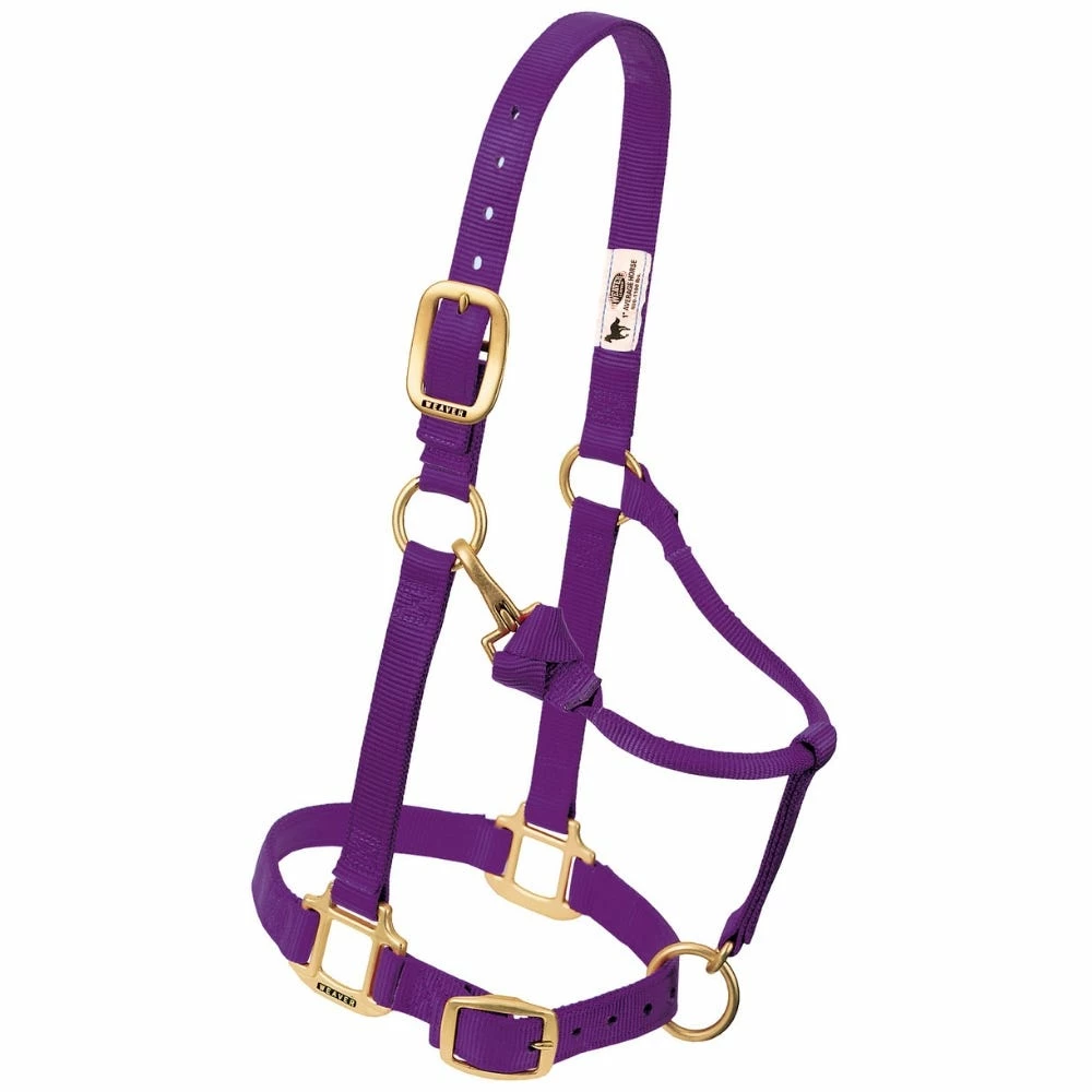 Weaver Leather Original Adjustable Nylon Horse Halter - Purple - 1 Inch Average - 35-7035-PU - Nylon Halters 3 Weaver Leather Original Adjustable Nylon Horse Halter - Purple - 1 Inch Average - 35-7035-PU - Nylon Halters
