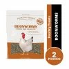 Pecking Order Boonworms Poultry Treats, 2 lb. Bag - Bird Seed & Food 1 Pecking Order Boonworms Poultry Treats, 2 lb. Bag - Bird Seed & Food -Livestock Online Store e10ff5baabbc803ae745ea5526f0a89a263efcbe 520390002.1