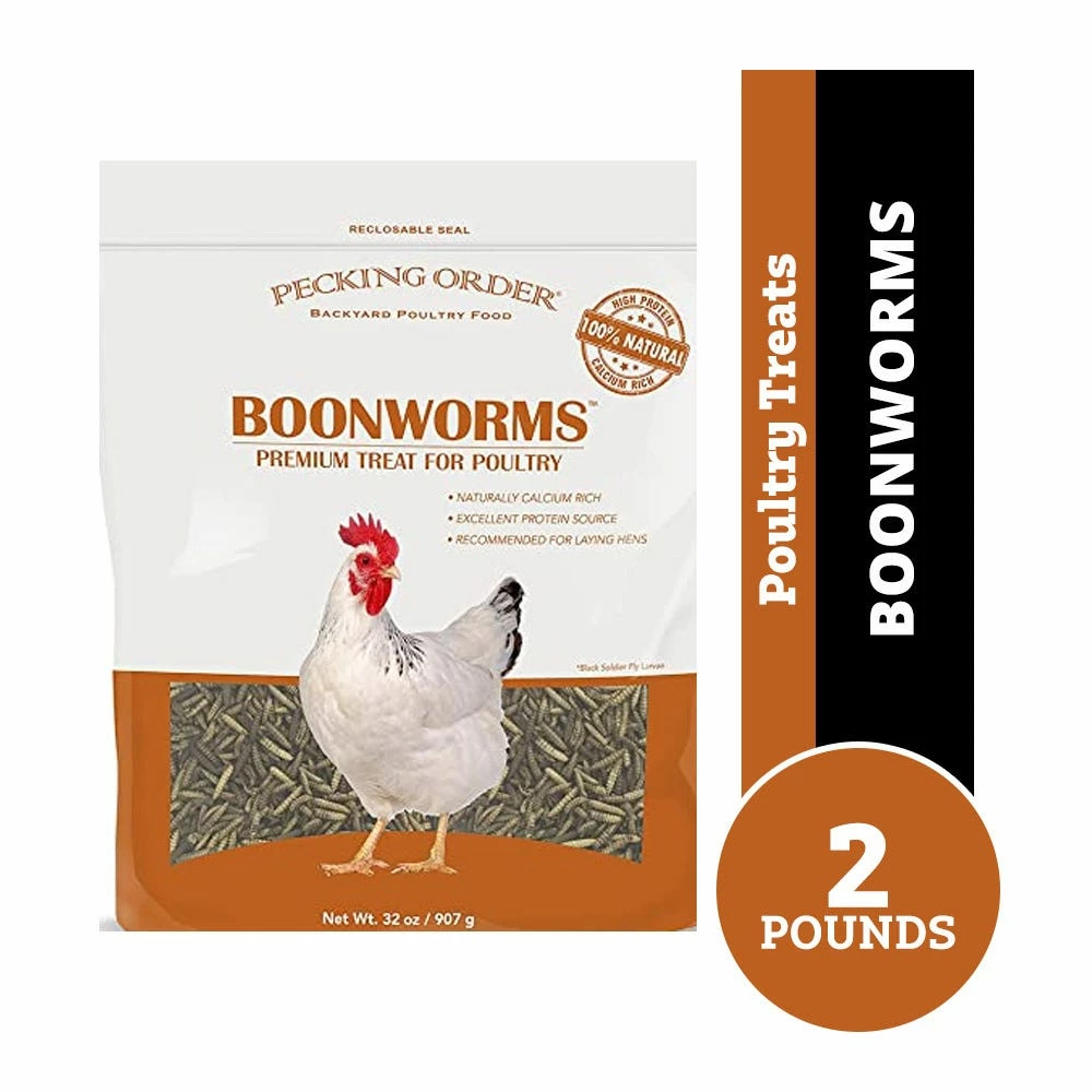 Pecking Order Boonworms Poultry Treats, 2 lb. Bag - Bird Seed & Food 3 Pecking Order Boonworms Poultry Treats, 2 lb. Bag - Bird Seed & Food
