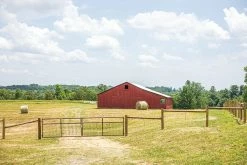 Tarter 12' 2" x 4" Wire Filled Gate, Gray - WFGGR12 - Gates & Corrals -Livestock Online Store e33627e1b85a0560cb2fcd596590615689a73f99 WFGBRSC WatchmanSCWireMeshGate LS 03 20