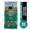 Country Road Textured Goat Feed, 50 lb. Bag - Sheep & Goat Feed 2 Country Road Textured Goat Feed, 50 lb. Bag - Sheep & Goat Feed -Livestock Online Store e51ff3ac55e886bc71d9916198ea8b052d8e5eec 4671715