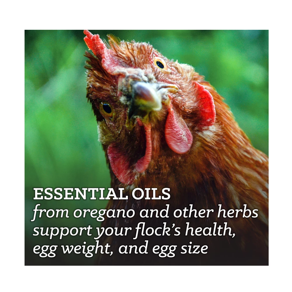 Nutrena NatureWise® Hearty Hen 18% Protein Pellet Feed, 40 lb. Bag - Chicken Feed 7 Nutrena NatureWise® Hearty Hen 18% Protein Pellet Feed, 40 lb. Bag - Chicken Feed - Image 5