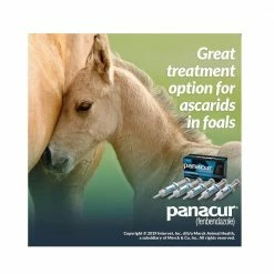Merck Panacur® PowerPac Horse Dewormer, 57 gm - 017754 - Dewormers 9 Merck Panacur® PowerPac Horse Dewormer, 57 gm - 017754 - Dewormers -Livestock Online Store e9efbbb87c82af6015685cd38ad0c9dd0d2c2587 362655 3