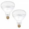 Various Brands Brooder 250 Watt Heat Lamp Bulb - 2 Pack - Livestock Supplies -Livestock Online Store ea18b2378074c373d69d205ab9c964c6749a7864 62000060