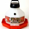Little Giant Plastic Poultry Chicken Waterer, 3 Gallon - PPF3 - Chicken Waterers