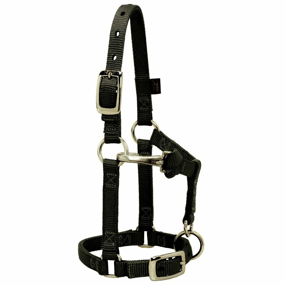 Weaver Leather Miniature Horse Adjustable Chin and Throat Snap Halter - Black - 5/8 Inch Average - 35-4800-BK - Nylon Halters 4 Weaver Leather Miniature Horse Adjustable Chin and Throat Snap Halter - Black - 5/8 Inch Average - 35-4800-BK - Nylon Halters - Image 2